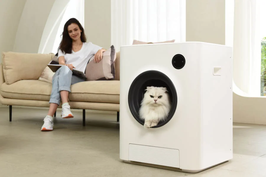 litter house for cats